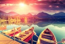 Rush hour in copenhagen.